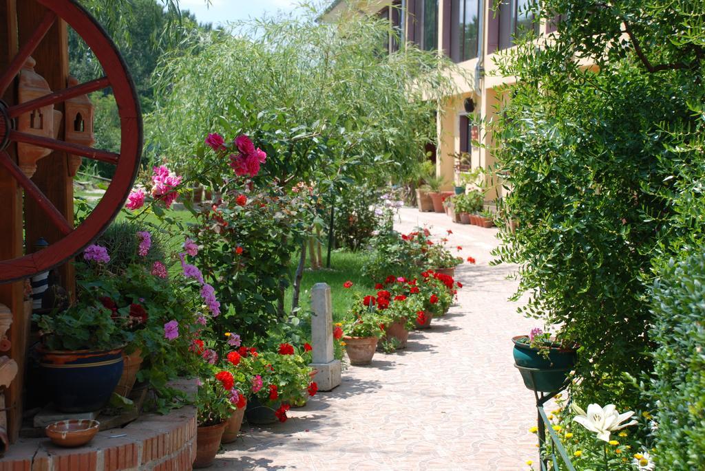 Villa Giulia Islaz Εξωτερικό φωτογραφία