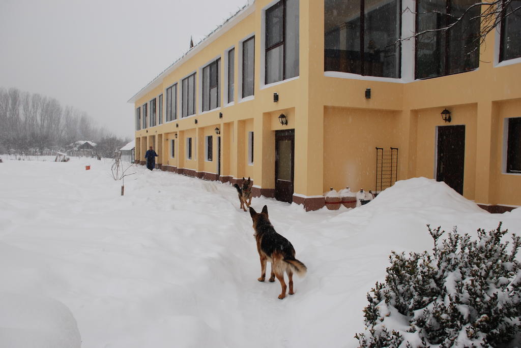 Villa Giulia Islaz Εξωτερικό φωτογραφία